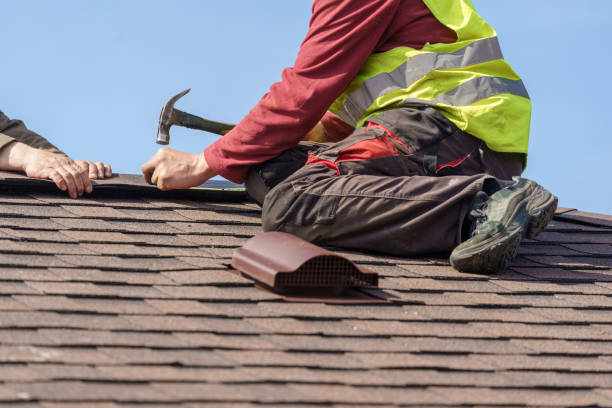 Best Roof Gutter Cleaning  in Dunbar, WV