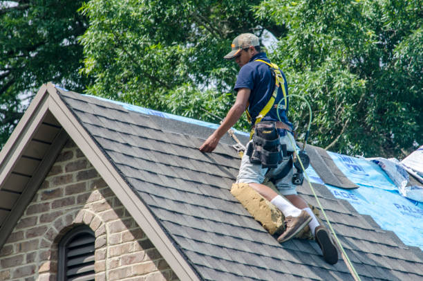Best Storm Damage Roof Repair  in Dunbar, WV